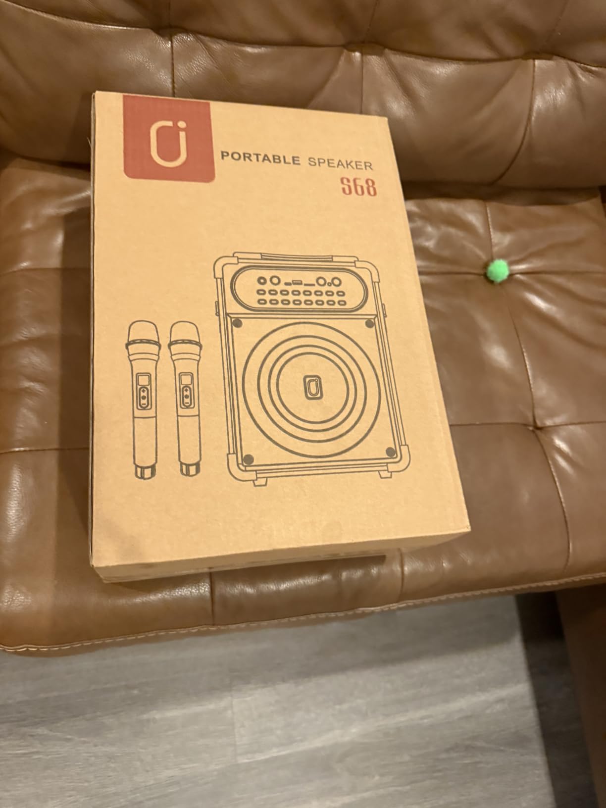 HWWR portable karaoke speaker box with the speaker and two microphones printed on the front